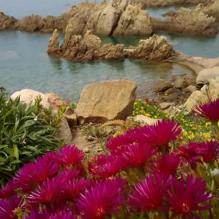 Villaggio Tamerici